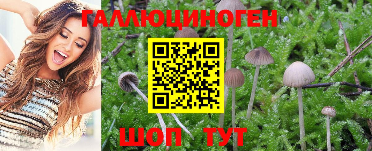 что такое наркотик  Псилоцибиновые грибы GOLDEN TEACHER  Вход с VPN  Югорск 